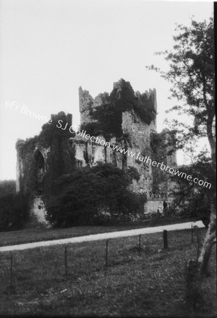 TINTERN ABBEY TOWER & CHANCEL N.E.